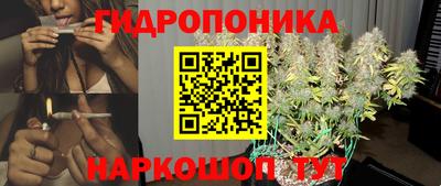 дмт Канаш