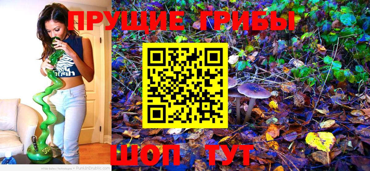 Коркино  купить  цена  Вход с VPN  Псилоцибиновые грибы Psilocybe 